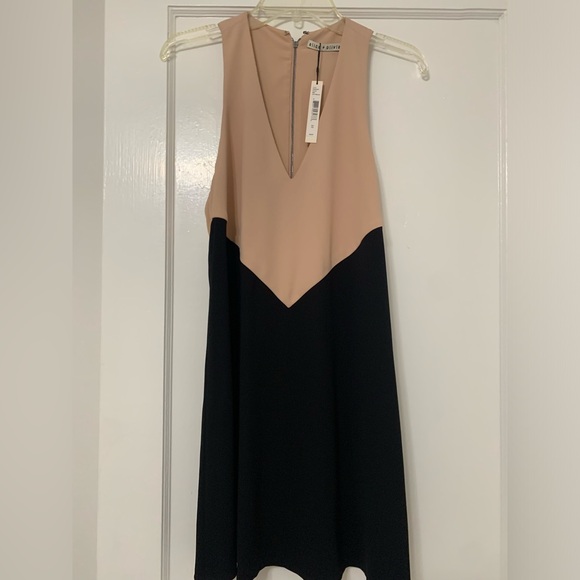 NWT Alice and Olivia Maya Color block Trapeze Dress XS - Picture 3 of 5